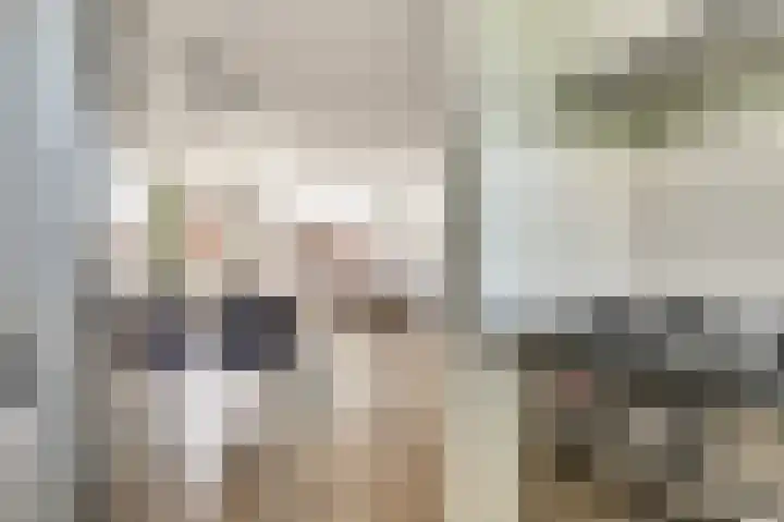 Teulland 28 Eersel thumbnail 12