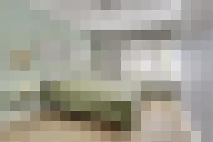 Teulland 28 Eersel thumbnail 16