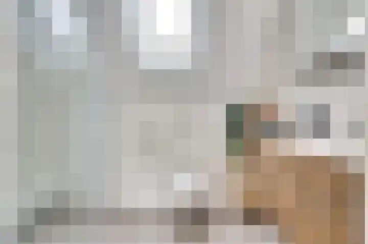 Teulland 28 Eersel thumbnail 22