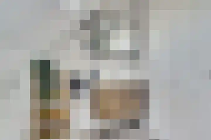 Teulland 28 Eersel thumbnail 23