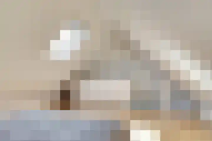 Teulland 28 Eersel thumbnail 26