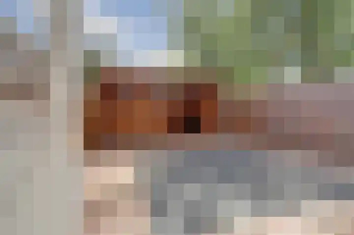 Teulland 28 Eersel thumbnail 28