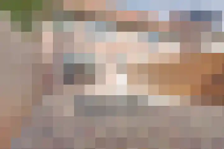 Teulland 28 Eersel thumbnail 29