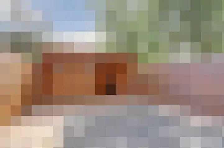 Teulland 28 Eersel thumbnail 31
