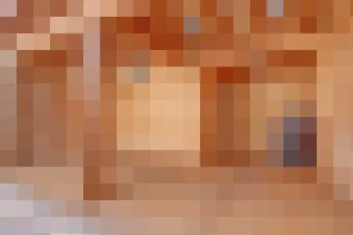 Teulland 28 Eersel thumbnail 32