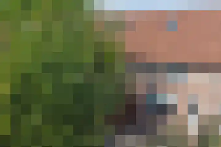 Teulland 28 Eersel thumbnail 33