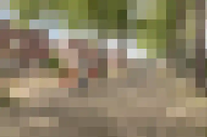 Teulland 28 Eersel thumbnail 39