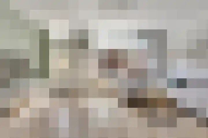 Teulland 28 Eersel thumbnail 6