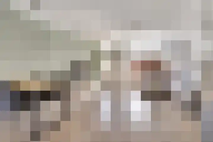 Teulland 28 Eersel thumbnail 8