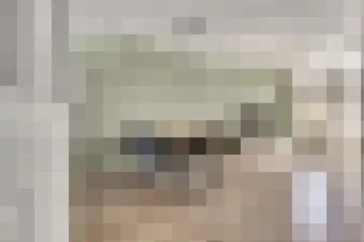 Teulland 28 Eersel thumbnail 9