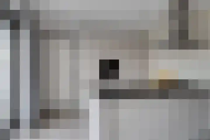 Teunisbloem 10 Eijsden thumbnail 11