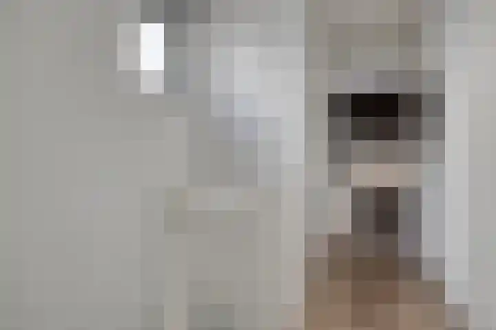 Teunisbloem 10 Eijsden thumbnail 18