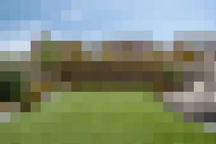 Teunisbloem 10 Eijsden foto 2