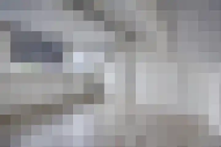 Teunisbloem 10 Eijsden thumbnail 21