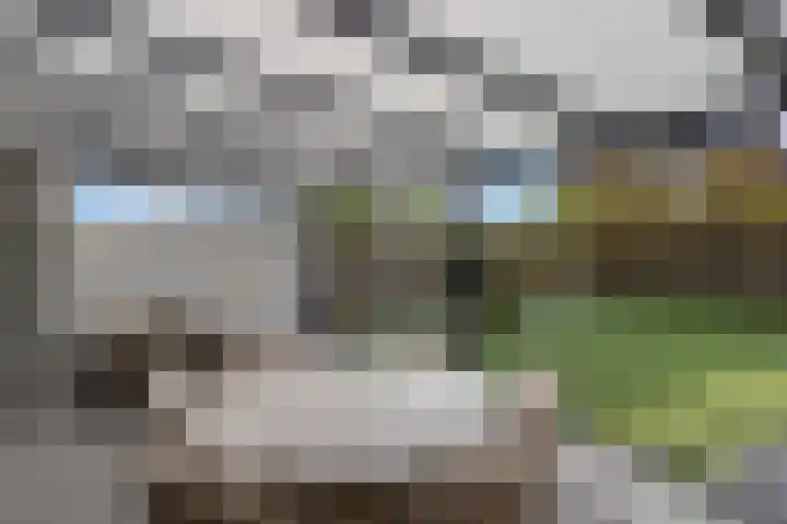 Teunisbloem 10 Eijsden thumbnail 32
