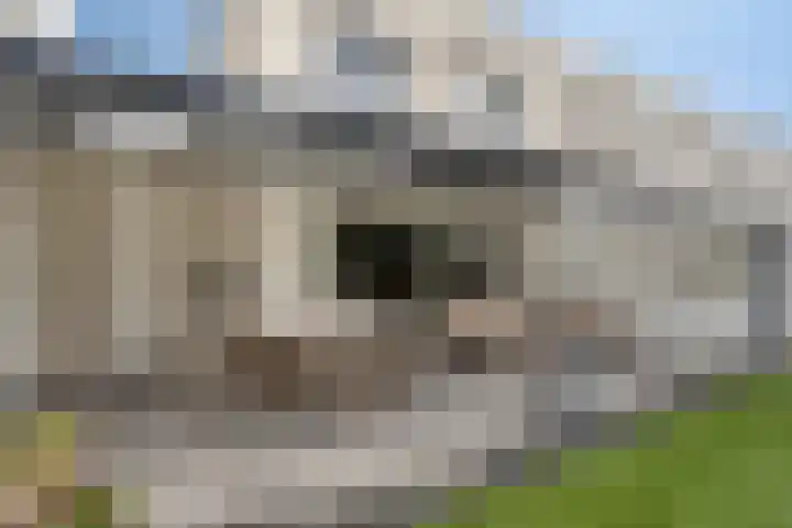 Teunisbloem 10 Eijsden thumbnail 33
