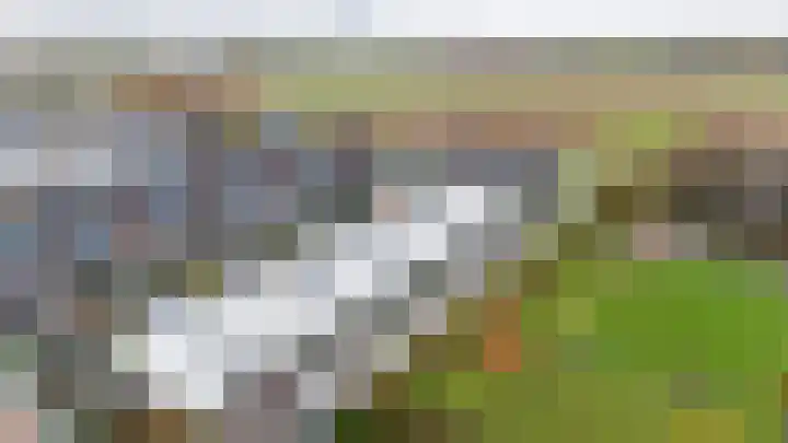 Teunisbloem 10 Eijsden thumbnail 38