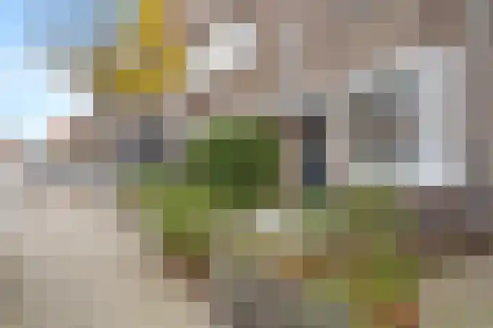 Teunisbloem 10 Eijsden thumbnail 40