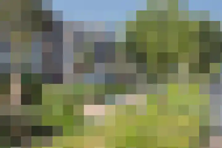 Teunisbloem 10 Eijsden thumbnail 41