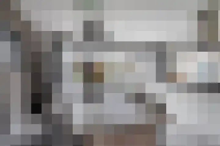 Teunisbloem 10 Eijsden thumbnail 9