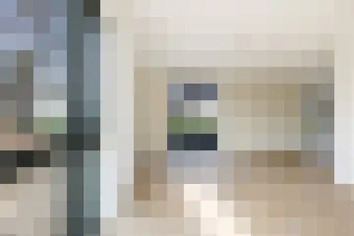 Teunisbloem 13 Stroe thumbnail 11