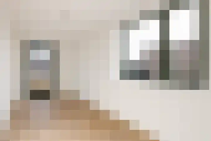 Teunisbloem 13 Stroe thumbnail 13