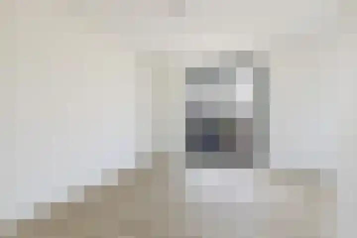 Teunisbloem 13 Stroe thumbnail 16