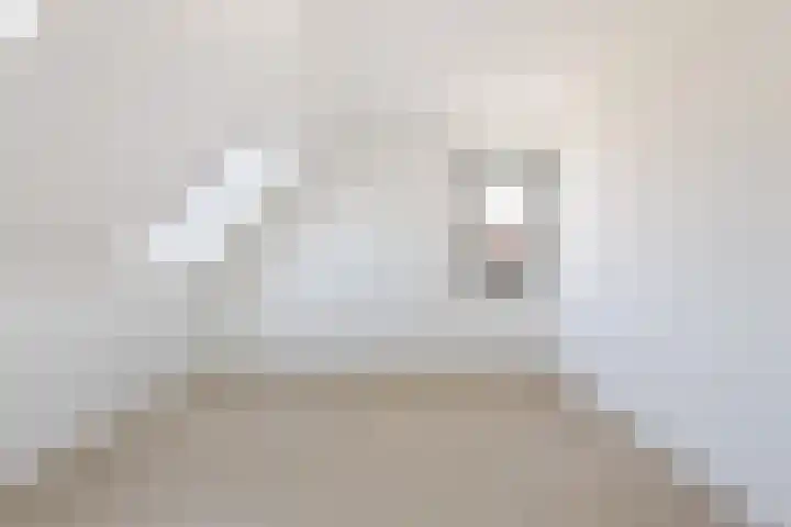 Teunisbloem 13 Stroe thumbnail 23