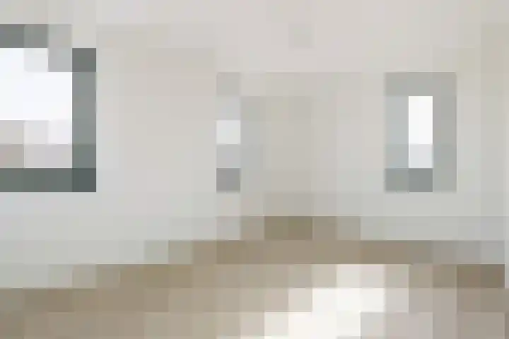 Teunisbloem 13 Stroe thumbnail 24