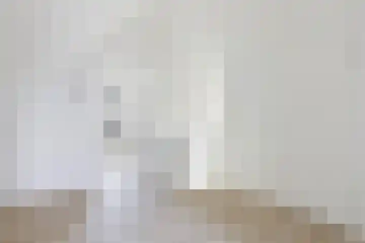 Teunisbloem 13 Stroe thumbnail 26
