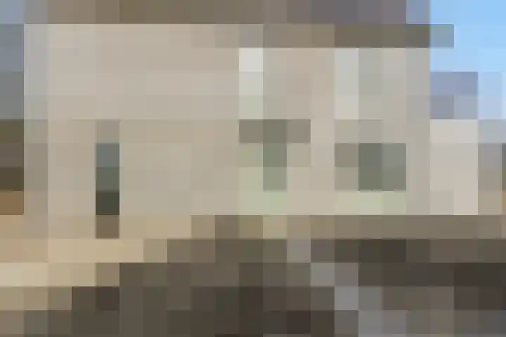 Teunisbloem 13 Stroe thumbnail 29