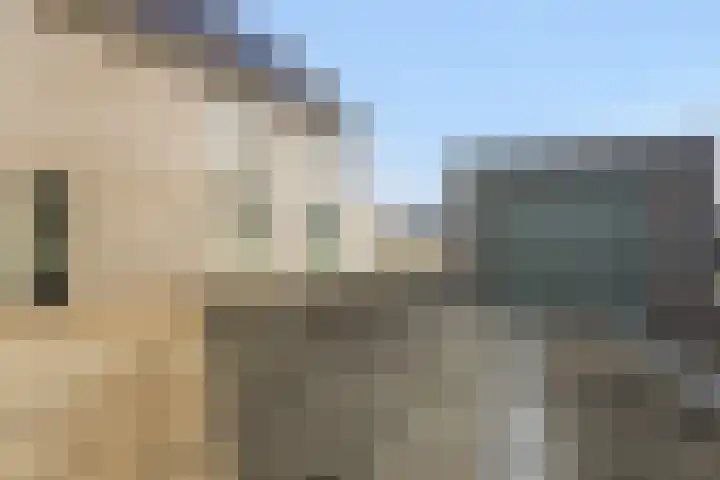 Teunisbloem 13 Stroe thumbnail 30