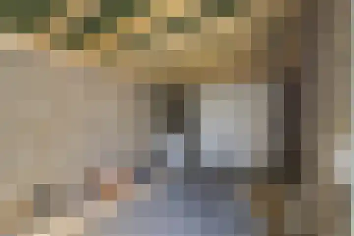 Teunisbloem 13 Stroe thumbnail 31