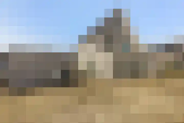 Teunisbloem 13 Stroe thumbnail 32