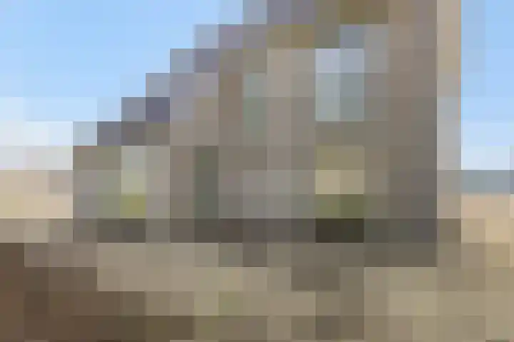 Teunisbloem 13 Stroe thumbnail 33