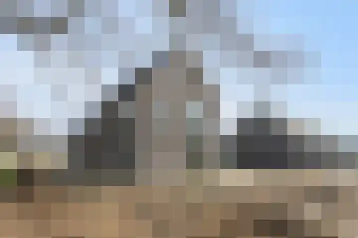 Teunisbloem 13 Stroe thumbnail 34