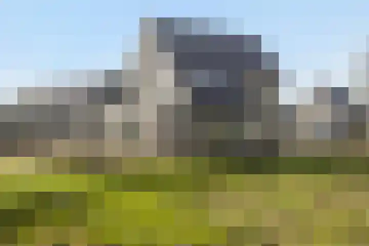 Teunisbloem 13 Stroe thumbnail 37