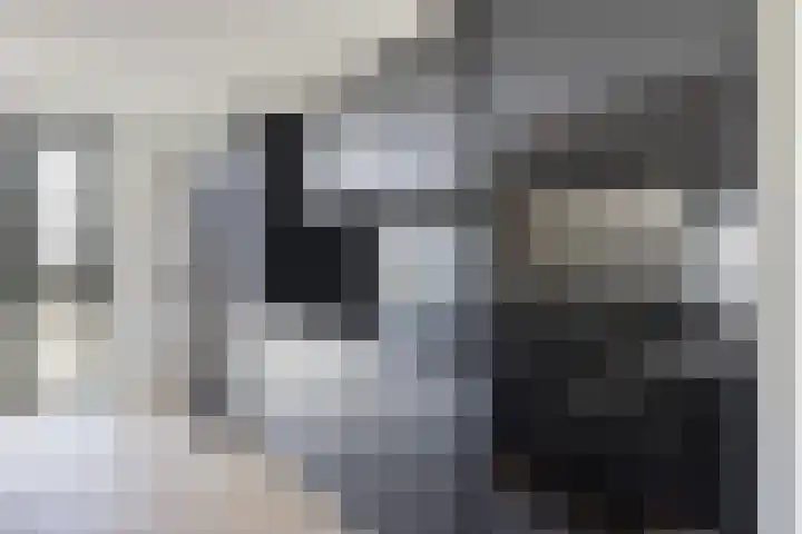 Teunisbloem 13 Stroe thumbnail 6