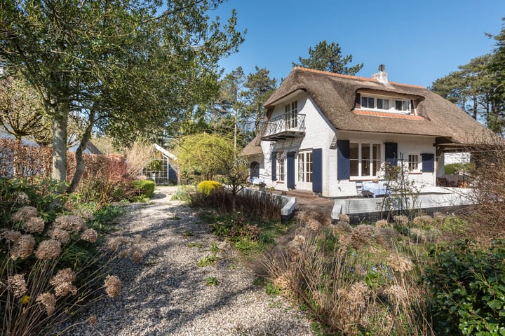 Teunisbloemlaan 14 in Bentveld foto