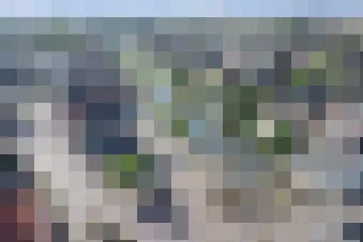 Screenshot van de website van www.teunisse.nl