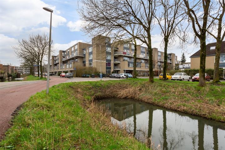 Texel 61 in Utrecht foto