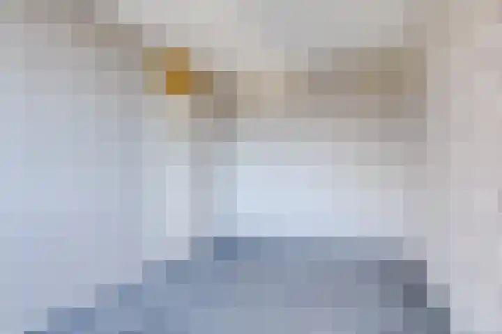 Texel 83 Utrecht thumbnail 12