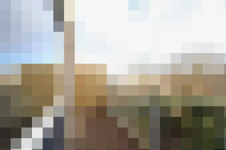 Texel 83 Utrecht thumbnail 22