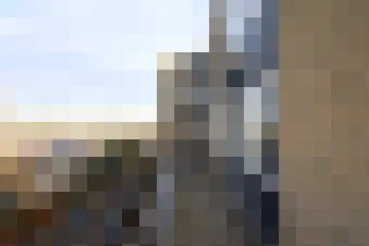 Texel 83 Utrecht thumbnail 24