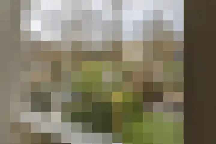 Texel 93 Utrecht thumbnail 23
