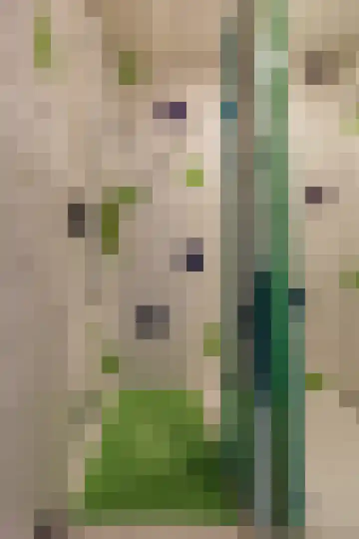 Texel 93 Utrecht thumbnail 33