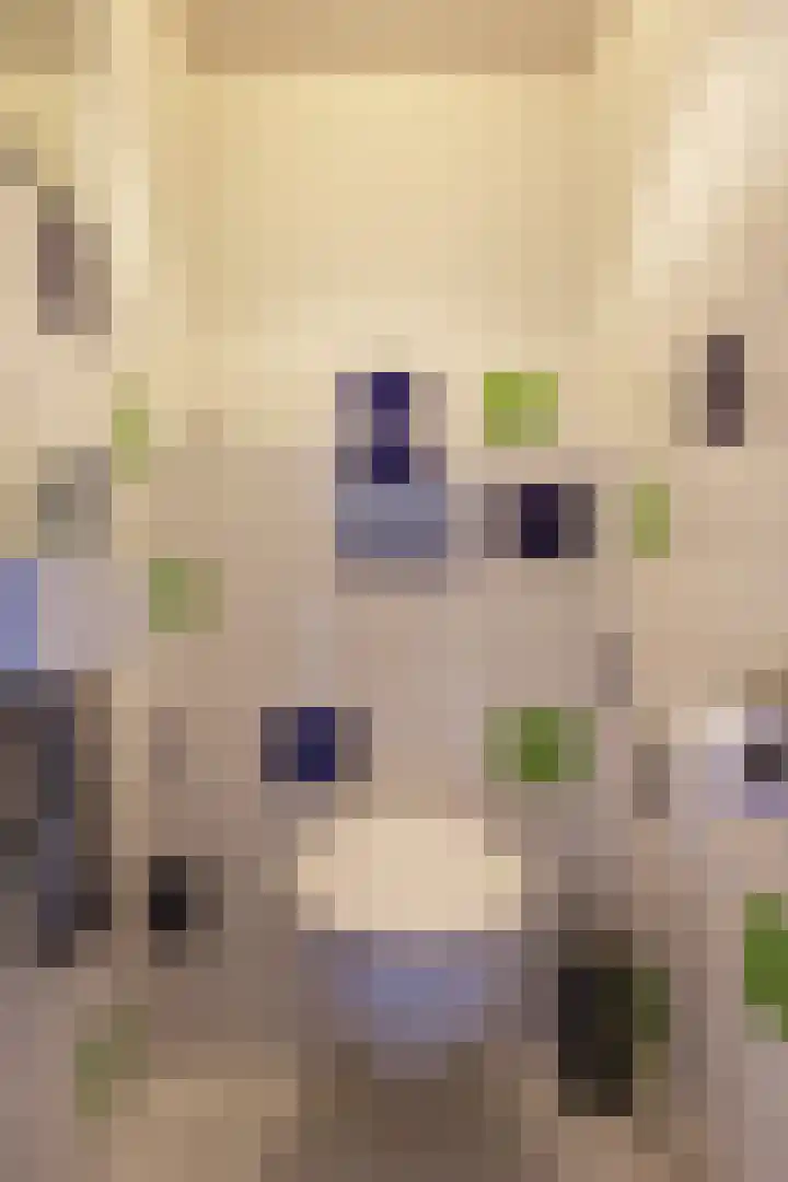 Texel 93 Utrecht thumbnail 36