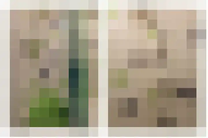Texel 93 Utrecht thumbnail 37
