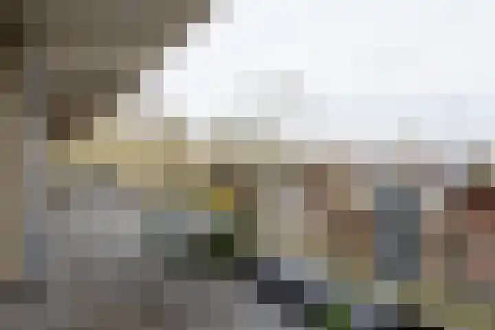 Texel 93 Utrecht thumbnail 42