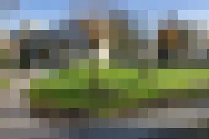 Texel 93 Utrecht thumbnail 51
